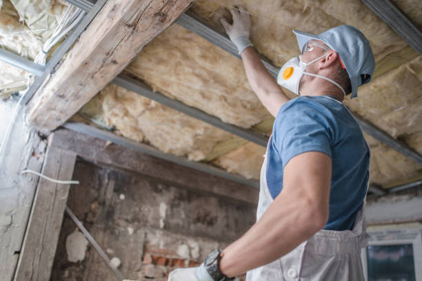 Best DIY Insulation Kits and Guidance in Chatsworth, GA