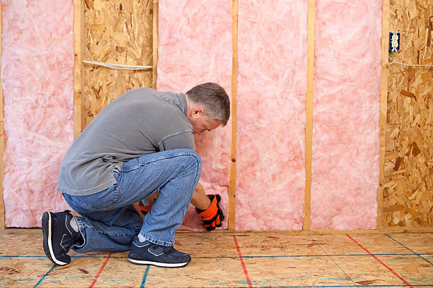 Best Specialized Insulation Services in Chatsworth, GA