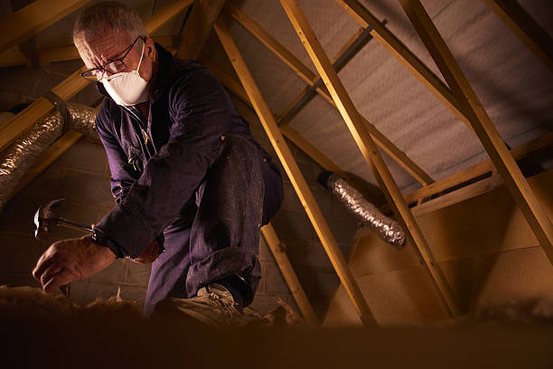 Best Geographic-Specific Insulation Services in Chatsworth, GA