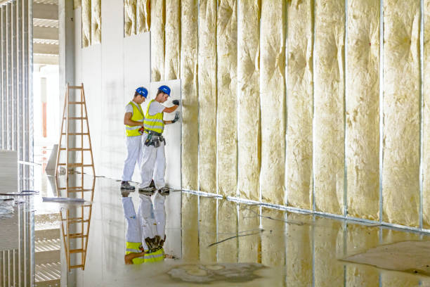 Best Insulation Maintenance and Repair in Chatsworth, GA